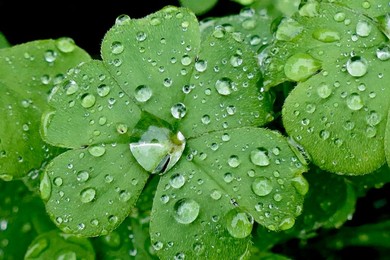 Seasonal weather, rain