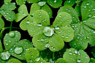 Seasonal weather, rain