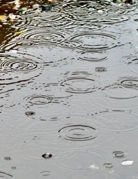Seasonal weather, rain