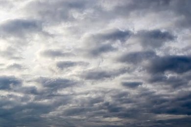 Image 1146914996